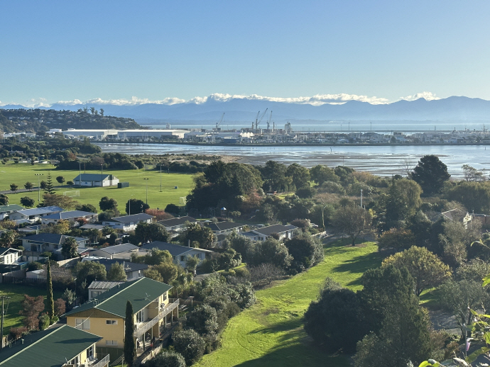 언덕에서 바라본 도시 풍경