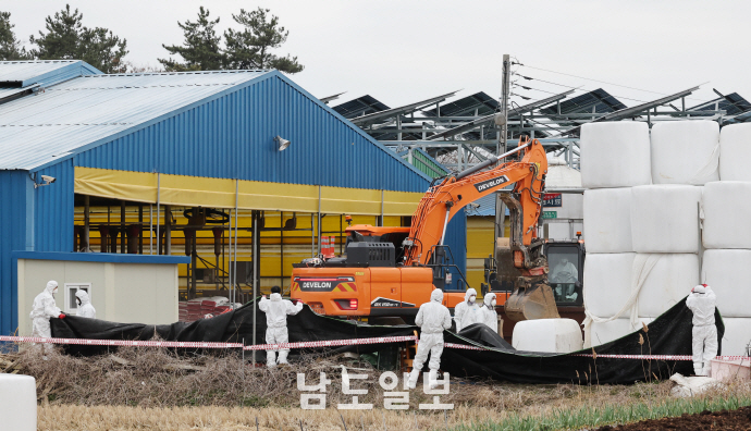 청정 <b>전남 구제역 확산</b> 일로