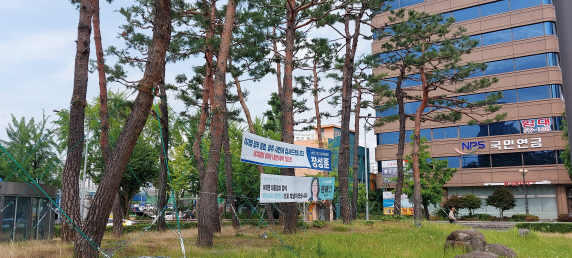 광주역 광장 소나무 숲에 걸린 플래카드.