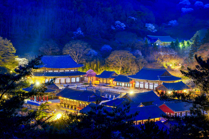 지리산 화엄사 야경/지리산 화엄사 제공