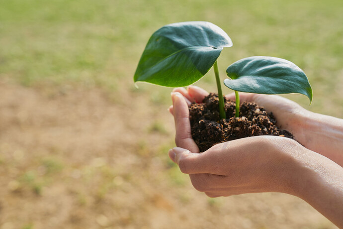 게티이미지뱅크
